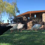 WhatsApp Image 2024-05-03 at 13.32.13_7216133f